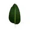 Artificial Banana Palm Traveler Palm Tree