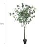 Artificial Eucalyptus Tree Red Box Eucalyptus Polyanthemos 150cm