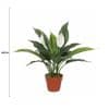 Artificial Spathiphyllum Peace Lily Plant With White Flowers 60cm