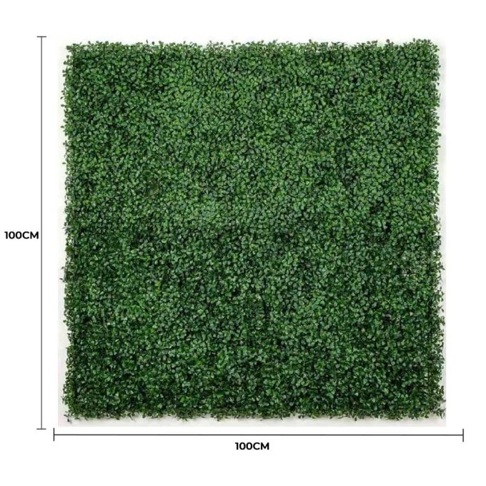 Boxwood Hedge Screen Green Wall Panel UV Resistant 100cm X 100cm