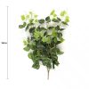 Heart Leaf Philodendron Hanging Creeper Bush Devils Ivy 78cm