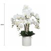 Large Multi Stem White Potted Faux Orchid 65cm