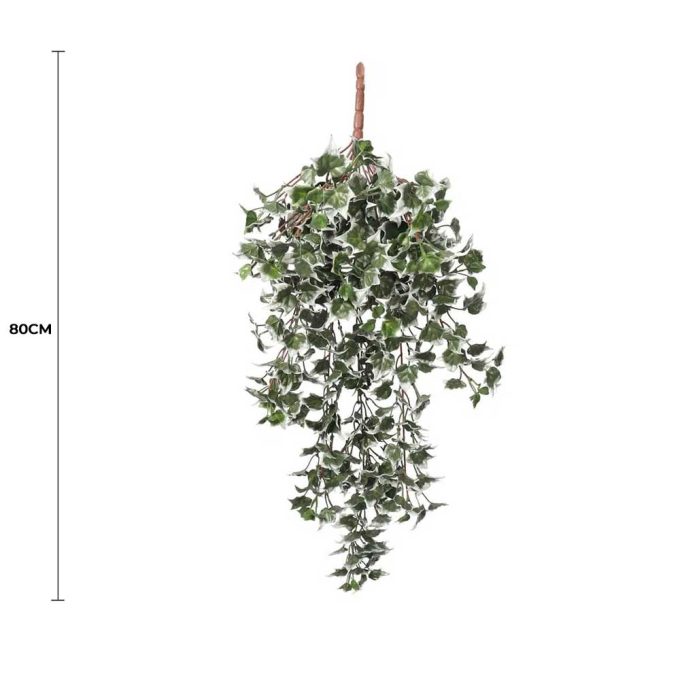 Mixed Green And White Tipped Ivy Bush-80cm UV Resistant