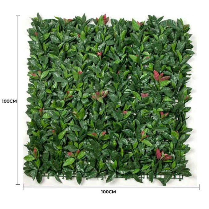 Photinia Red Robin Hedge Leaf Screens Panels UV Resistant 1m X 1m