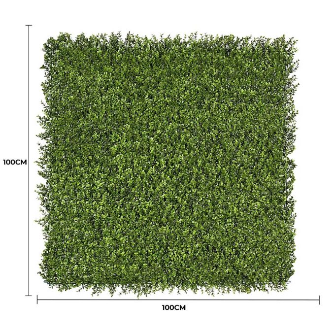 Premium Natural Buxus Hedge Panels UV Resistant 1m X 1m