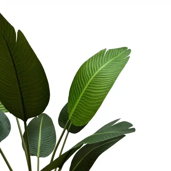 artificial banana plant single leaf