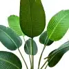 artificial green banana plant