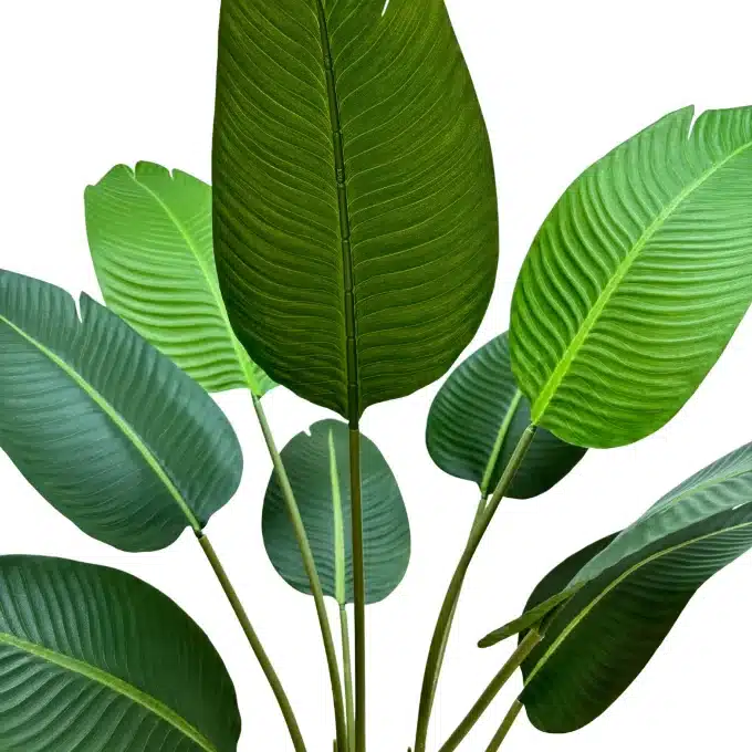 artificial green banana plant