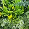 Hyper-realistic faux plant wall detail