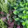 Hyper-realistic faux plant wall detail of foliage