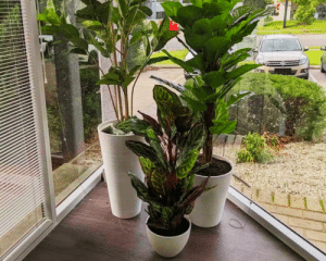 How to decorate with artificial potted plants