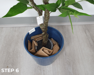 How to pot artificial plant - Fill it up