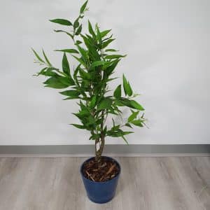Your potted artificial plant looks amazing