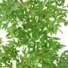 Front view of the artificial bamboo plant, perfect for indoor or office settings with its realistic appearance of nandina leaves