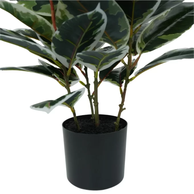 Isolated view of an artificial Ficus plant in a black pot against a white background, highlighting the variegated leaves and overall plant shape.