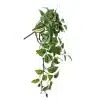A trailing wandering jew plant with green and pink-striped leaves and small, round, purple buds hanging gracefully