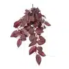 tradescantia zebrina artificial burgundy beauty detailed view