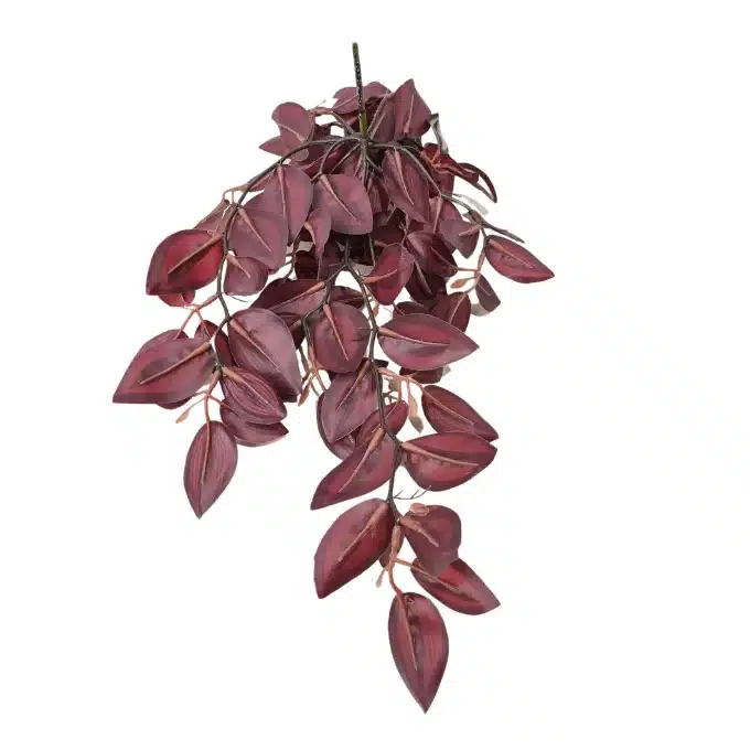 tradescantia zebrina artificial burgundy beauty detailed view