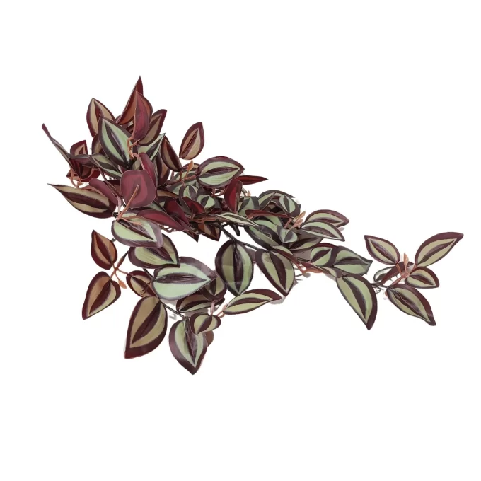 tradescantia zebrina artificial burgundy beauty side view