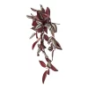 tradescantia zebrina artificial burgundy beauty overhead
