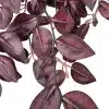 tradescantia zebrina artificial burgundy beauty lush view