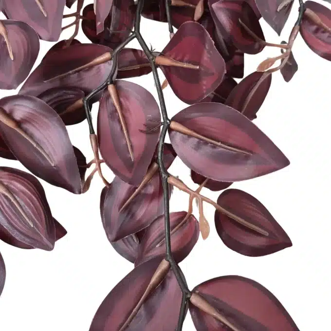 tradescantia zebrina artificial burgundy beauty lush view