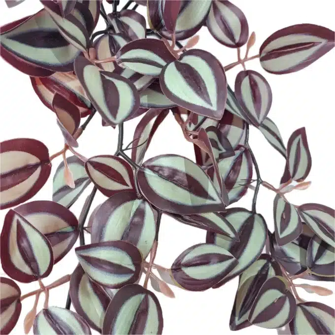 tradescantia zebrina artificial burgundy beauty clustered view