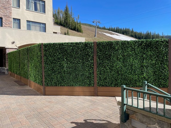 fully installed artificial plant wall