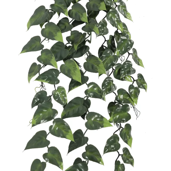 Realistic Faux Pothos Vine for Home Decoration