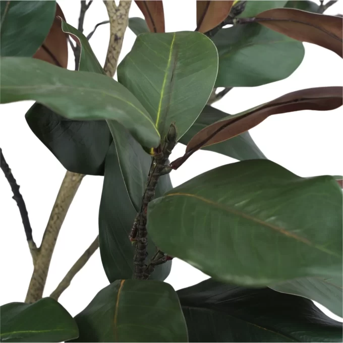 Artificial Magnolia Tree Native Australian Magnolia in a Pot Faux Magnolia Leaves