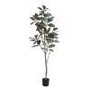 Artificial Magnolia Tree Native Australian Magnolia in a Pot Tall Tree