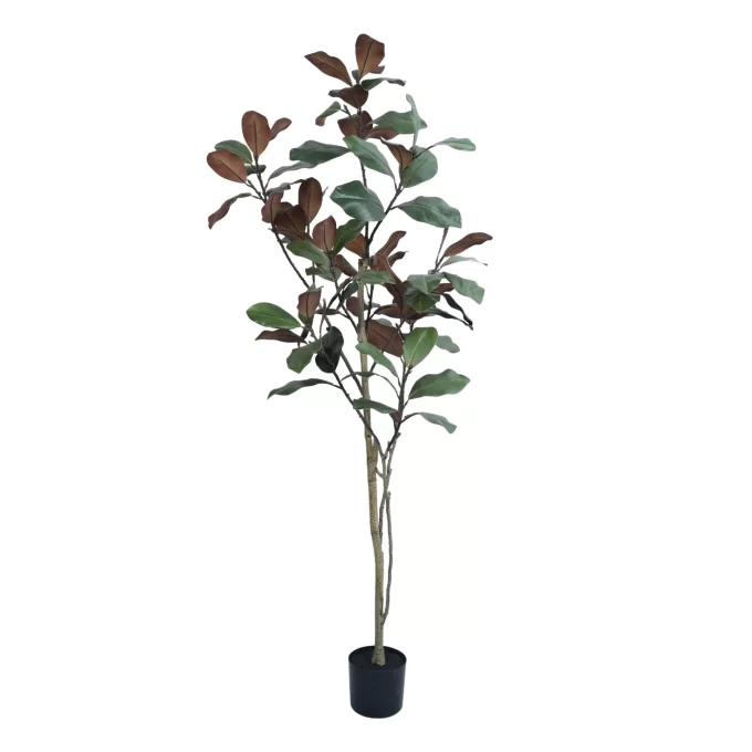 Artificial Magnolia Tree Native Australian Magnolia in a Pot Tree Side View