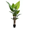 Artificial Tall Taro Plant 170cm Wide Leaf Palm Side View