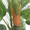 Premium Artificial Cordyline Fructicosa Green Ti Plant 90cm Trunk and Branch