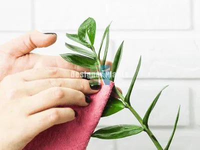 cleaning artificial plants