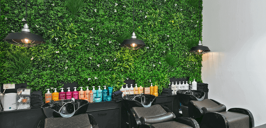 Hair dressing salon green wall