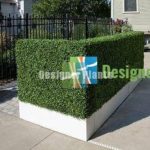 boxed artificial hedge