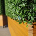 Artificial Boxwood Hedge and Timber Decking