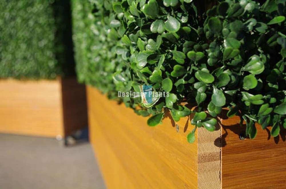 Artificial Boxwood Hedge and Timber Decking