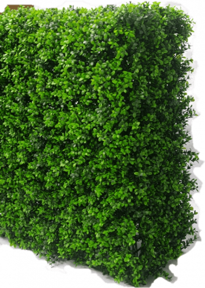 Portable Buxus Hedge UV Resistant 75x75cm | Designer Plants