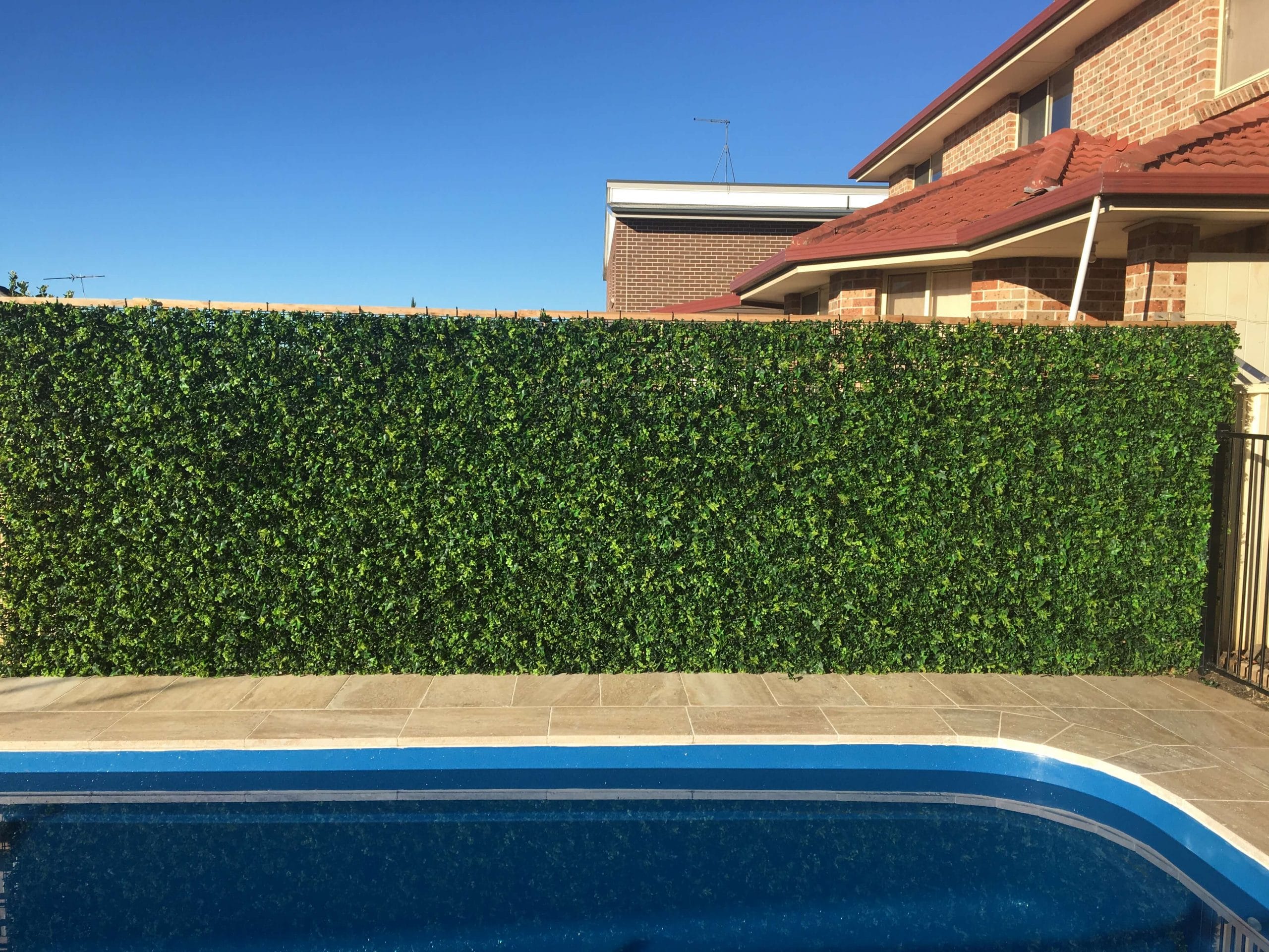 Fake hedge panel by a pool Designer Plants®