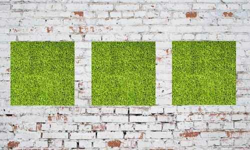 make your own green wall