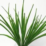Artificial Plant-Grass Stem UV Resistant 30cm closeup
