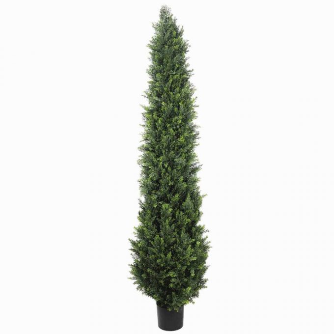potted artificial cypress tree