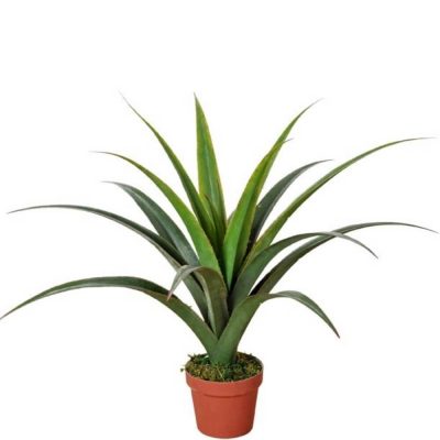 Fake Dracaena Plants 80cm (1)