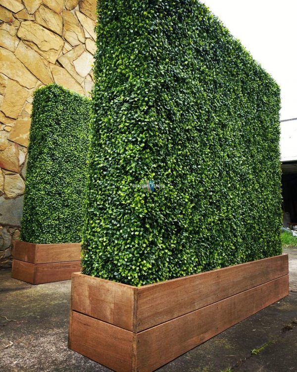 Simple Boxwood Privacy Hedge with Simple Decor
