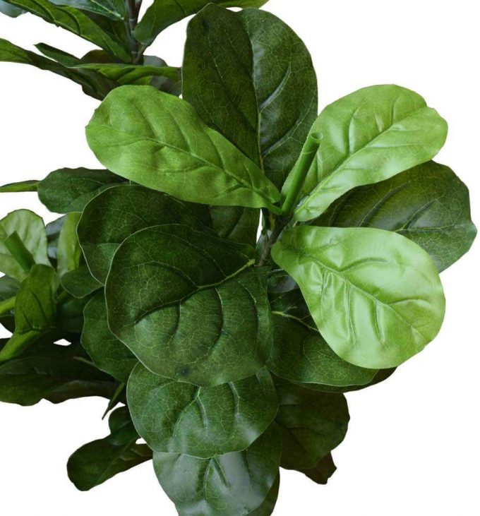 Artificial Fiddle Fig Leaves and Trunk