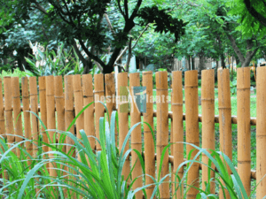 Bamboo fence benefits