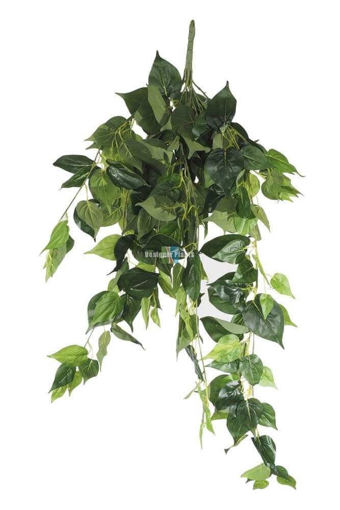 UV Philodendron Hanging Bush