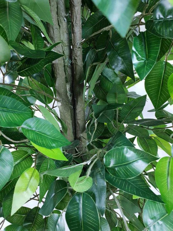 Bushy artificial ficus tree with plastic trunk
